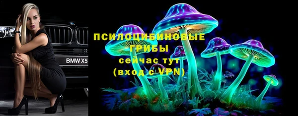 крисы Белокуриха