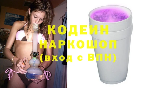 прущие грибы Саяногорск