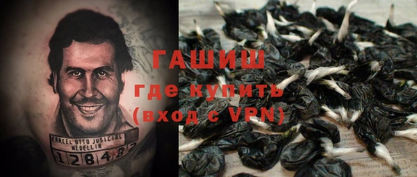 крисы Белокуриха
