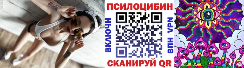Псилоцибиновые грибы Cubensis  Гай 